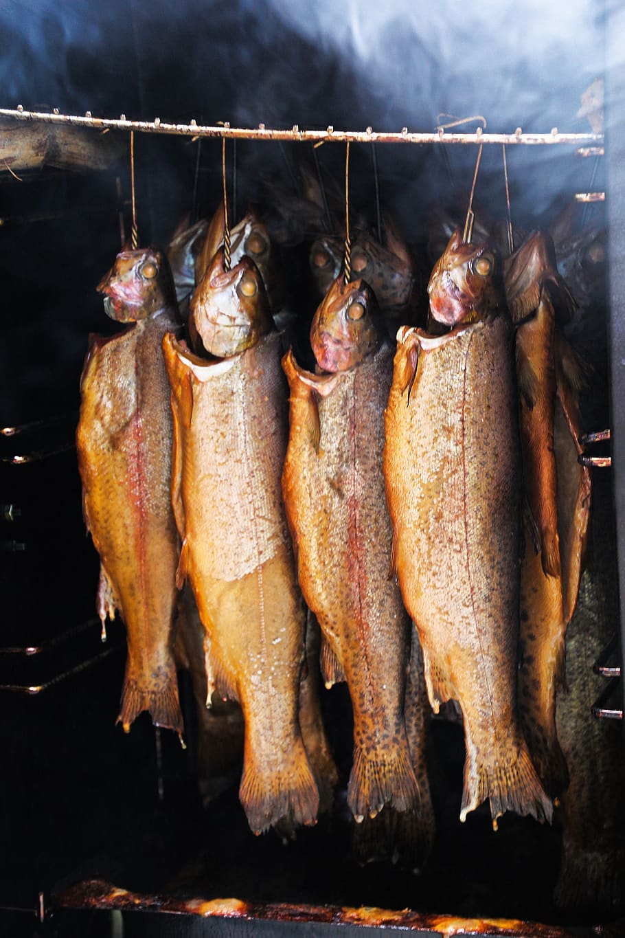 ikan, ikan asap, diasap, penangkapan ikan, merokok, lezat, ikan forel, asap ikan trout, rumah asap, oven merokok