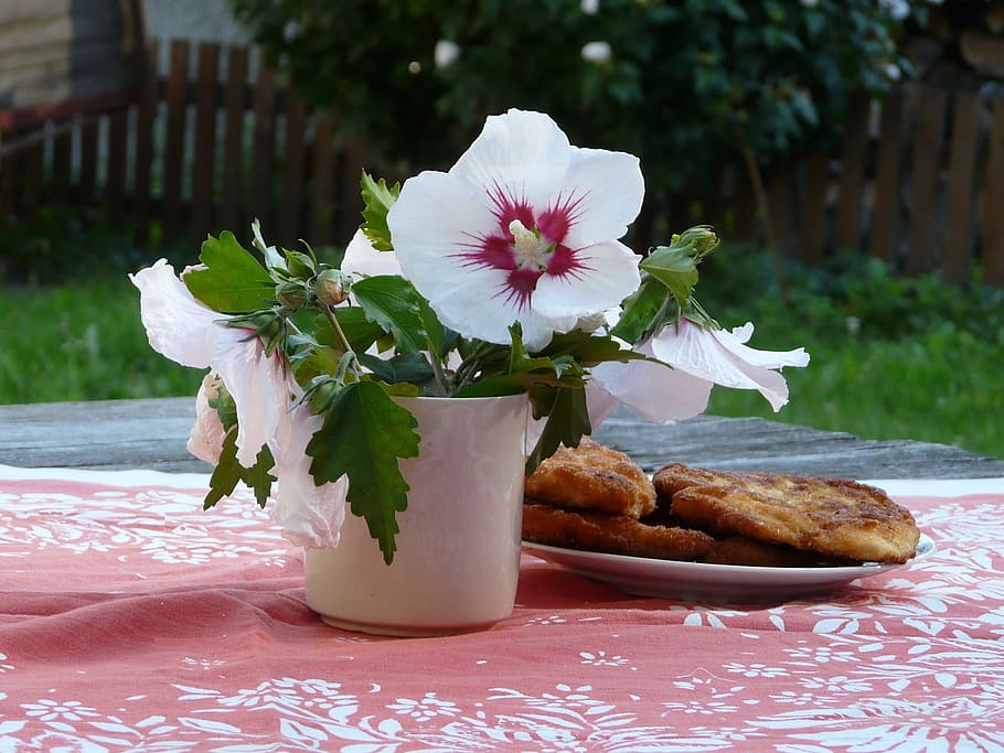 Summer, Countryside, Lunch, Steak, cuttings, hibiscus, table, table-cloth, vase, outdoors