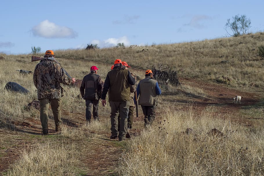hunting, hunters, guns, dog, group of people, real people, field, men, land, plant