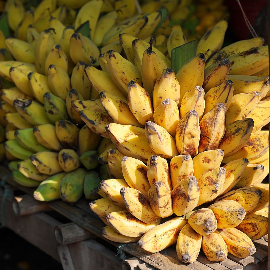 ripe bananas, bananas, banana shrub, fruits, yellow, food, burma, myanmar, fruit, healthy eating