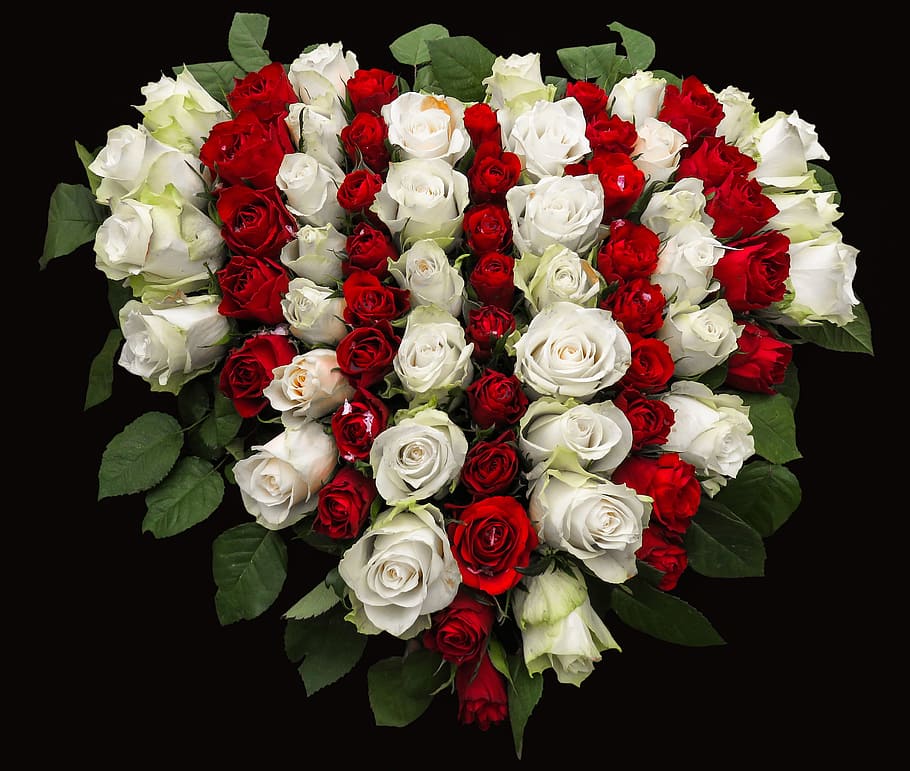 foto de close-up, branco, vermelho, peça central do coração de rosas, rosas, buquê, flores, arranjo floral, buquê de rosas, colorido