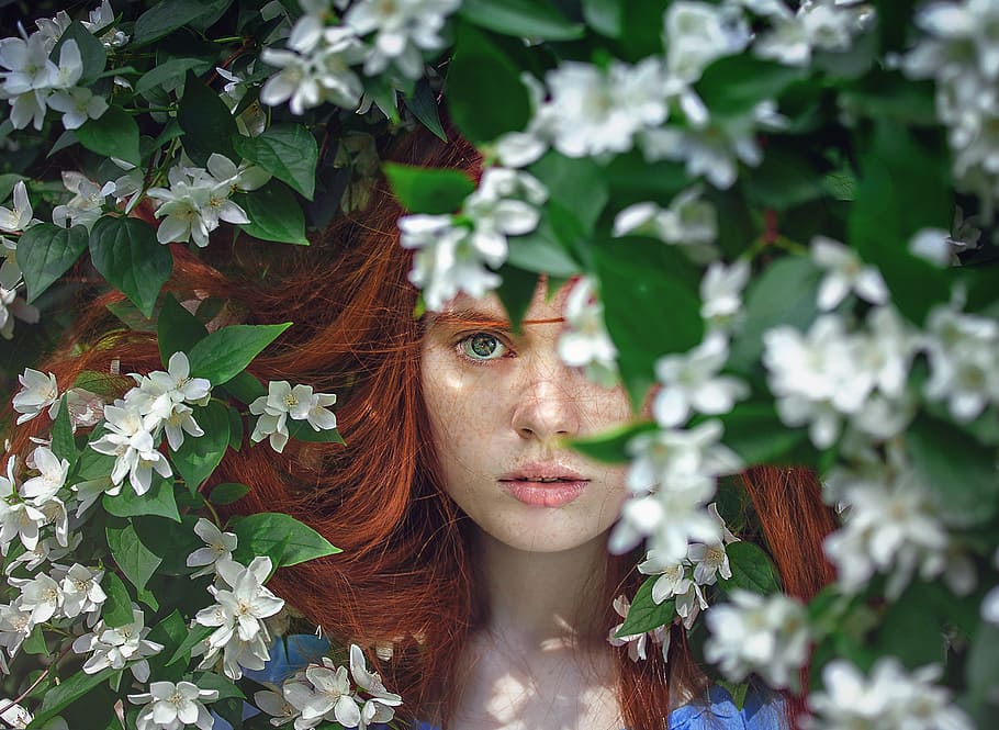 woman, laying, field, white, petaled flowers, art, beauty, fairytales, fantasy, fashion