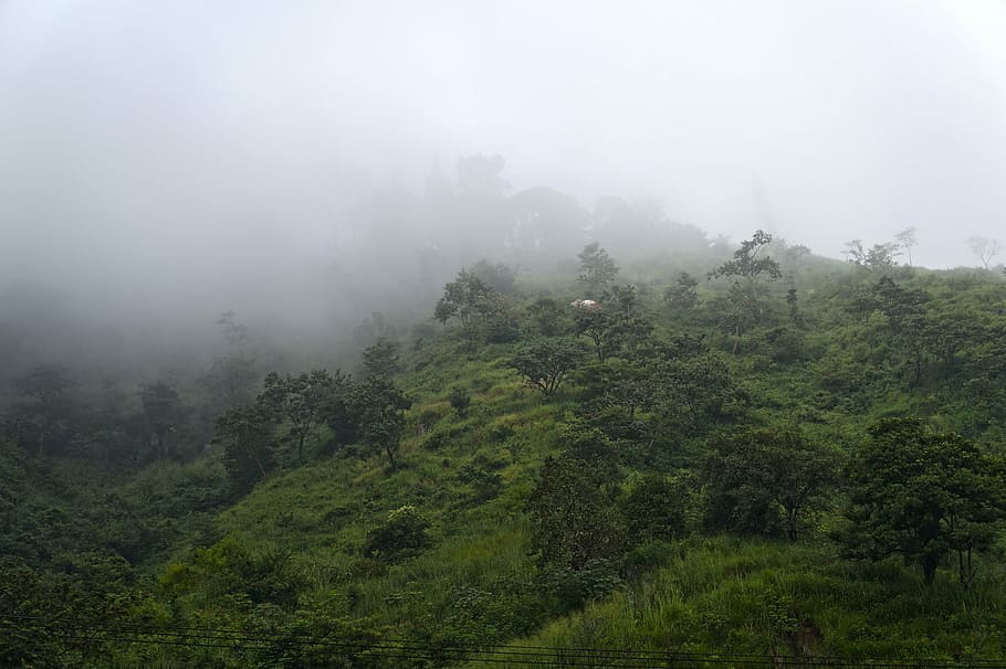 el salvador, mountains, hill, sierra, fog, air, green, landscape, trees, mountain