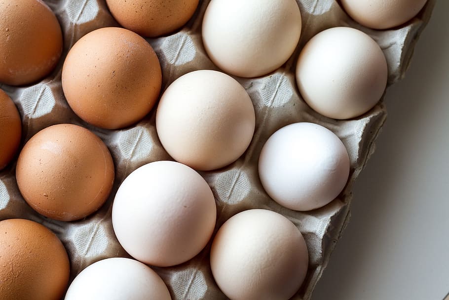 blanco, marrón, huevos, bandeja, clara de huevo, yema de huevo, pascua, cáscara, alimentos, colesterol