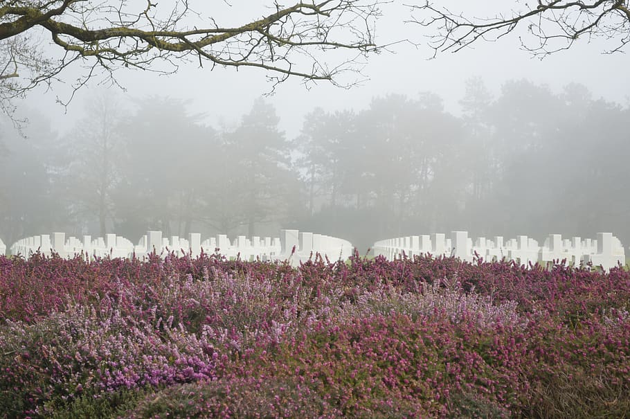 cemetery, fog, grey sky, second world war, war, tribute, normandy, commemoration, american cemetery, american
