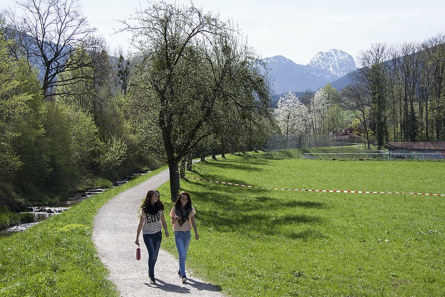 spring, sunshine, may, mountains, wendelstein, bach, trees, water, nature, landscape