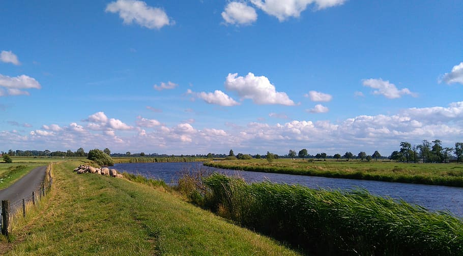 East Frisia, Dike, Landscape, wide, clouds, river, summer, sheep, nature, rural Scene