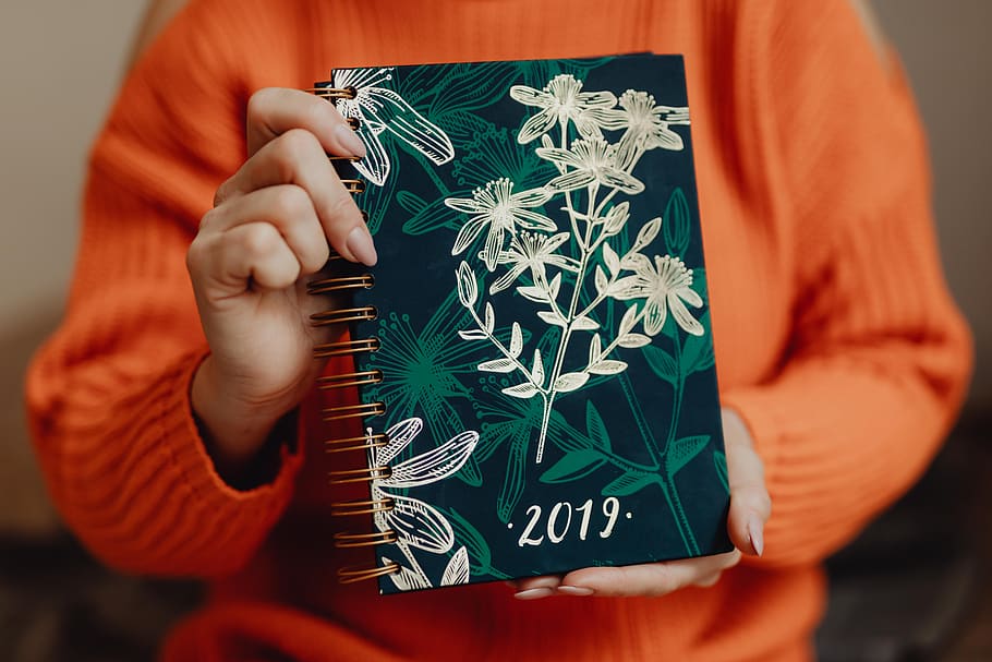 calendar, notebook, woman, 2019, orange, organizer, sweater, holds, hands, one person
