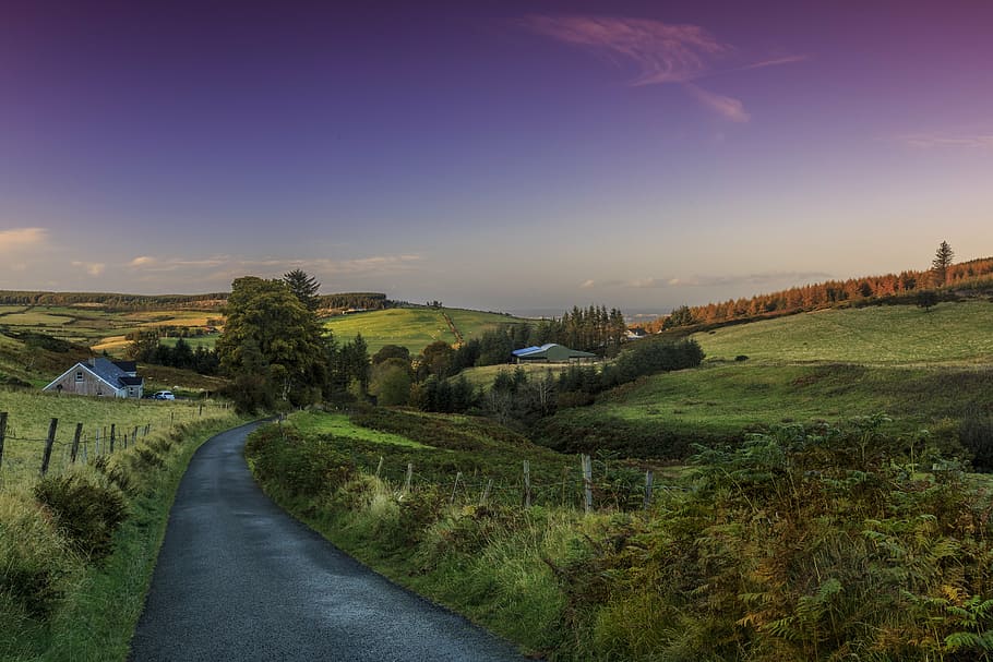 green, grass field, dawn, landscape, dublin, ireland, road, nature, field, rural scene