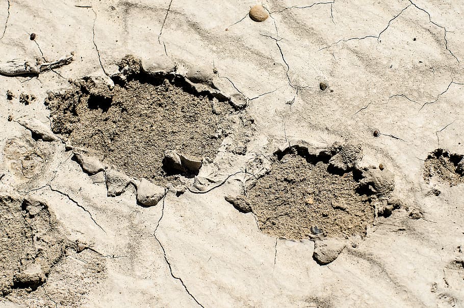 footprint in mud, muddy footprint, dried mud, mud, tracks, footprint, shoe print, boot print, muddy, outdoor