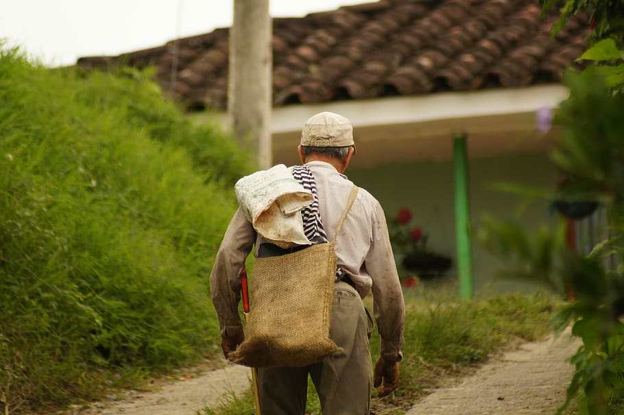 People, Field, Area, Kettle, of the, colombia, agriculture, rear view, farm, rural scene