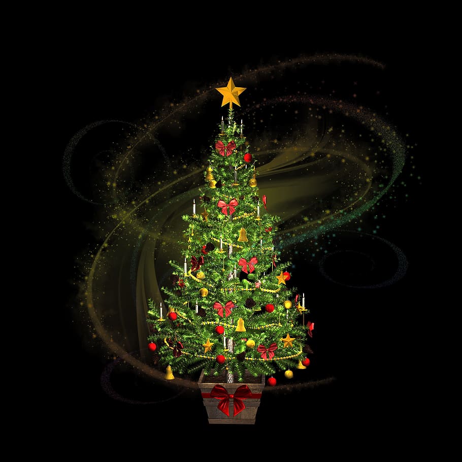 크리스마스, 겨울, 크리스마스 트리, 장식, 축하, 나무, 시즌, 별, s 달 그, 마법