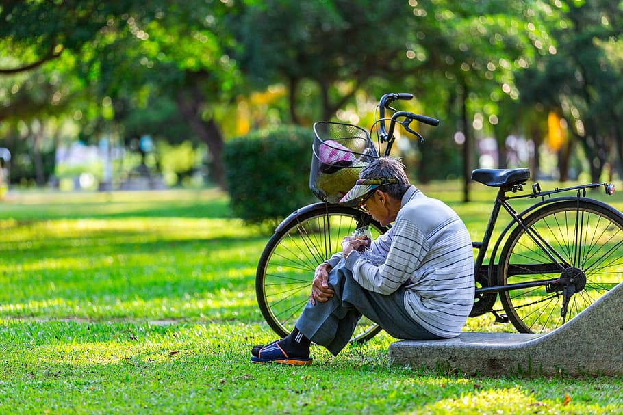 man, sitting, commuter bicycle, trees, grass, summer, park, wheel, nature, old man