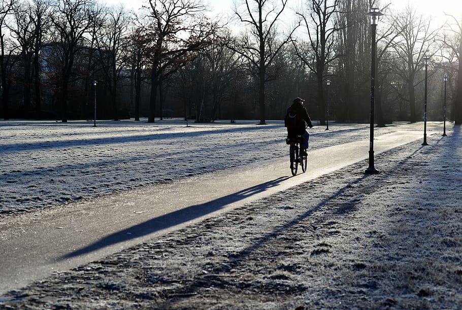 winter, park, cyclists, movement, frost, shadow, sun, cold, wintertime, real people