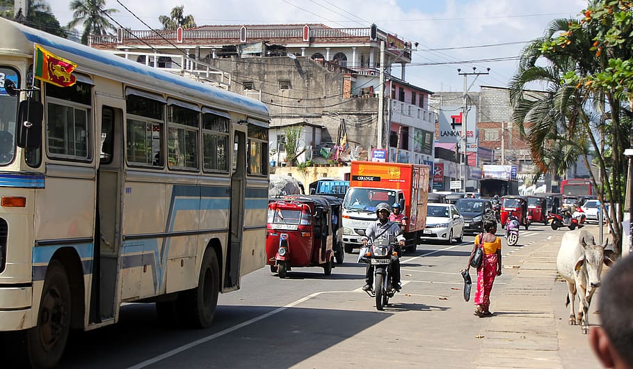 Sri Lanka, Road, Human, Traffic, Tuk Tuk, human, traffic, auto, bus, local, cow