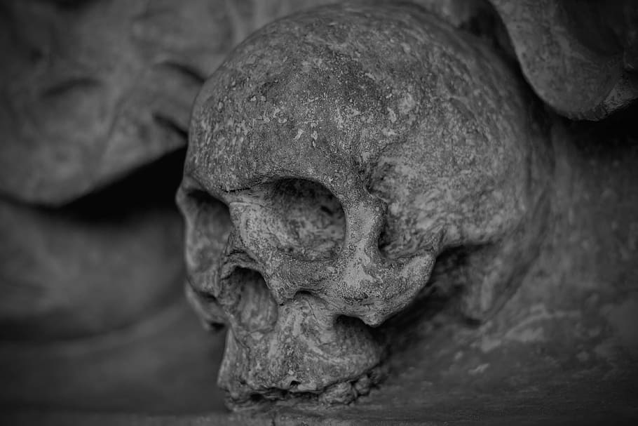 cinza, crânio, em relevo, decoração, preto, crânio e ossos cruzados, morto, esqueleto, mortal, pedra