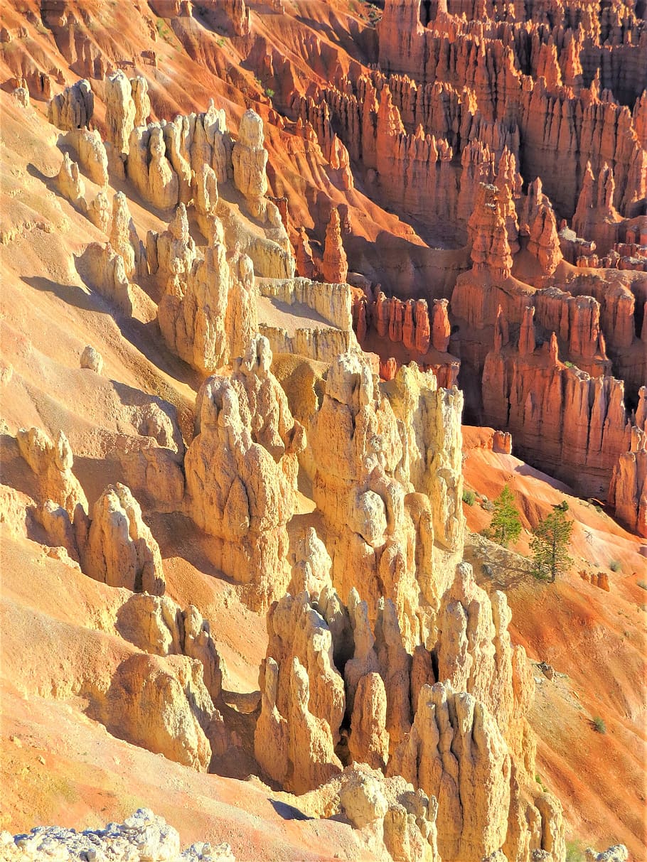 ブライスキャニオン, ユタ州, ハイキング, 赤い砂岩, 自然, キャニオン, uSA, 砂漠, 風景, 岩-オブジェクト