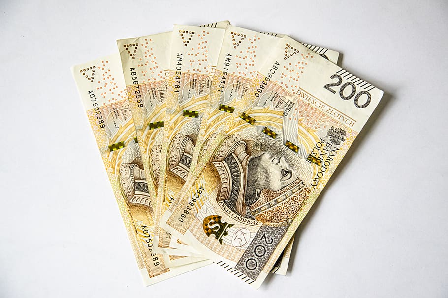 euro banknotes, polish banknotes, money, currency, finance, safe, gold, pln, photos, wealth