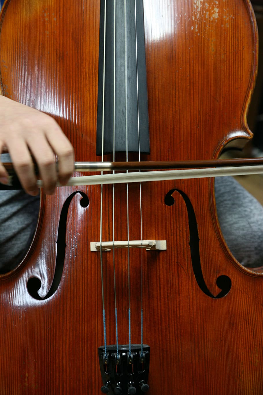 violín, madera, clásico, música, música clásica, violonchelo, tocado, instrumento, concierto, espectáculo
