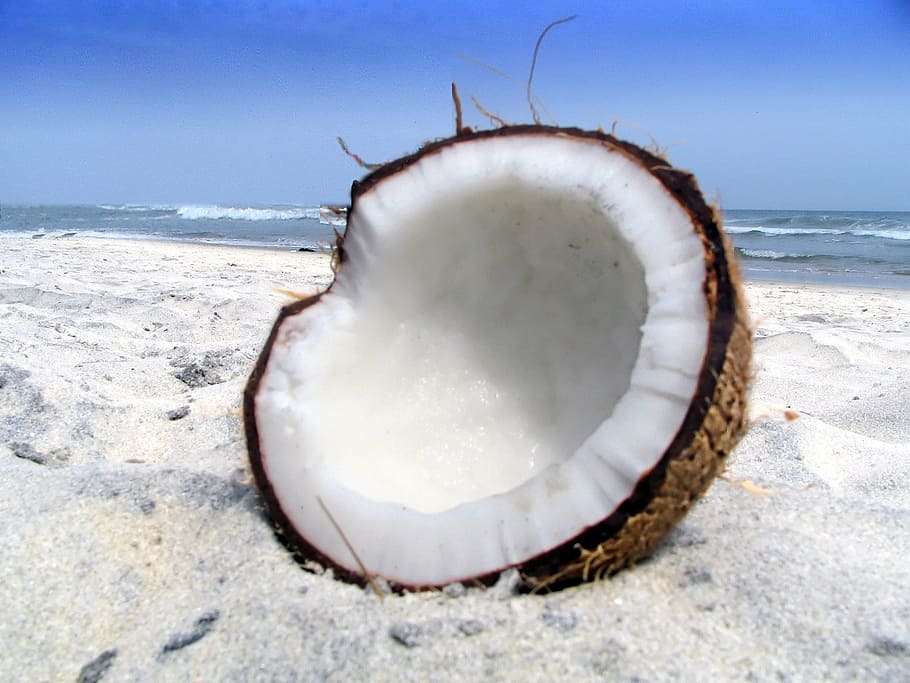 coconut shell, beach sands, daytime, coco, beach, sand, sea, land, water, nature