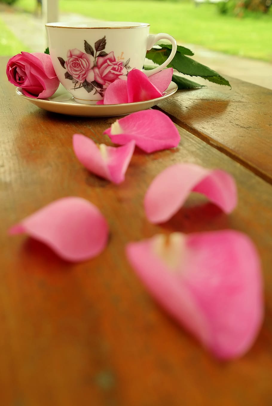 xícara de chá, rosa, flor, florescer, silêncio, hora do chá, chá, bebida, relaxar, prazer