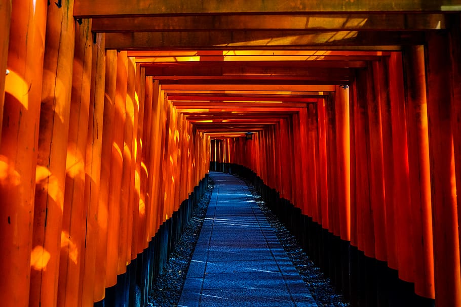 pathway, tunnel, pattern, gravel, torii, fushimi inari, shrine, kyoto, japan, travel