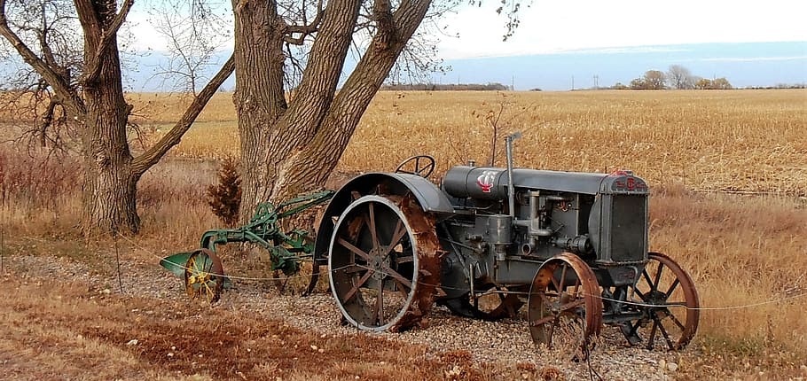 Tractor, Antique, South Dakota, Farm, historic, old, rural Scene, old-fashioned, agriculture, outdoors