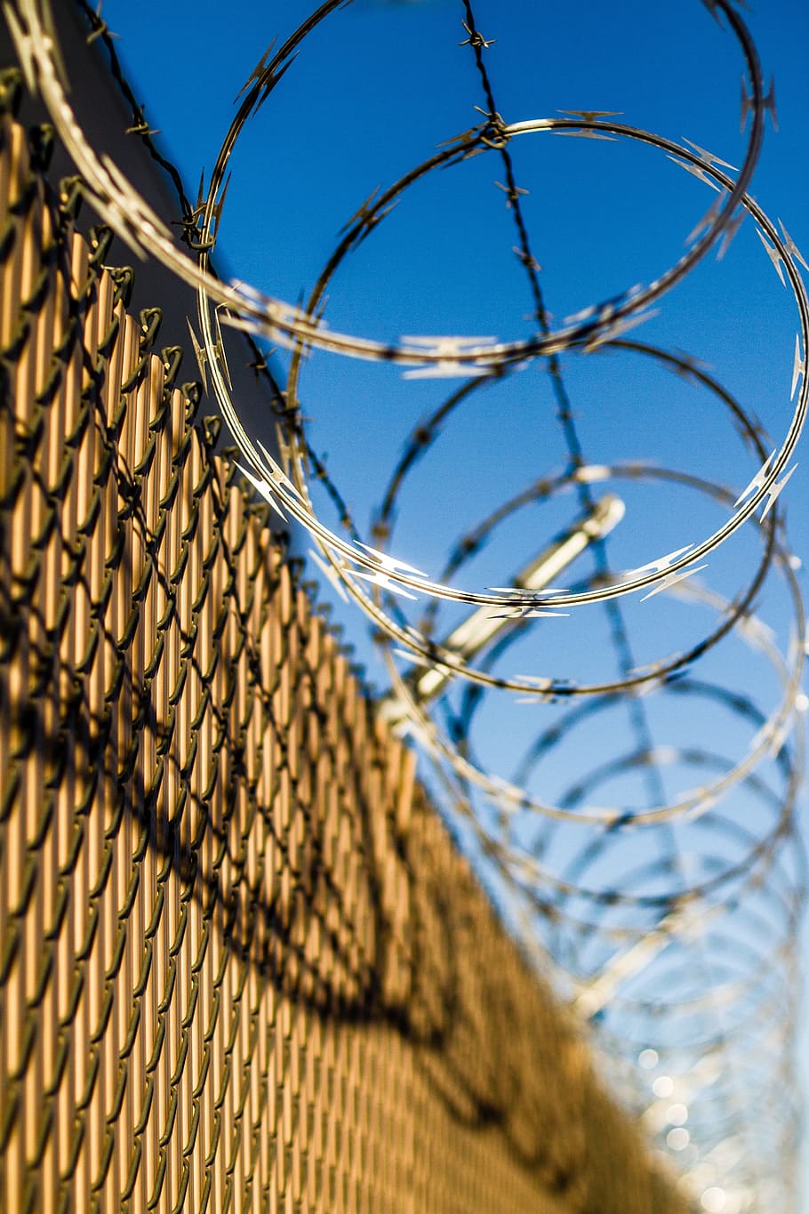 chain link fence, barbwire, concertina wire, fence, concertina, barbed, security, prison, protection, razor