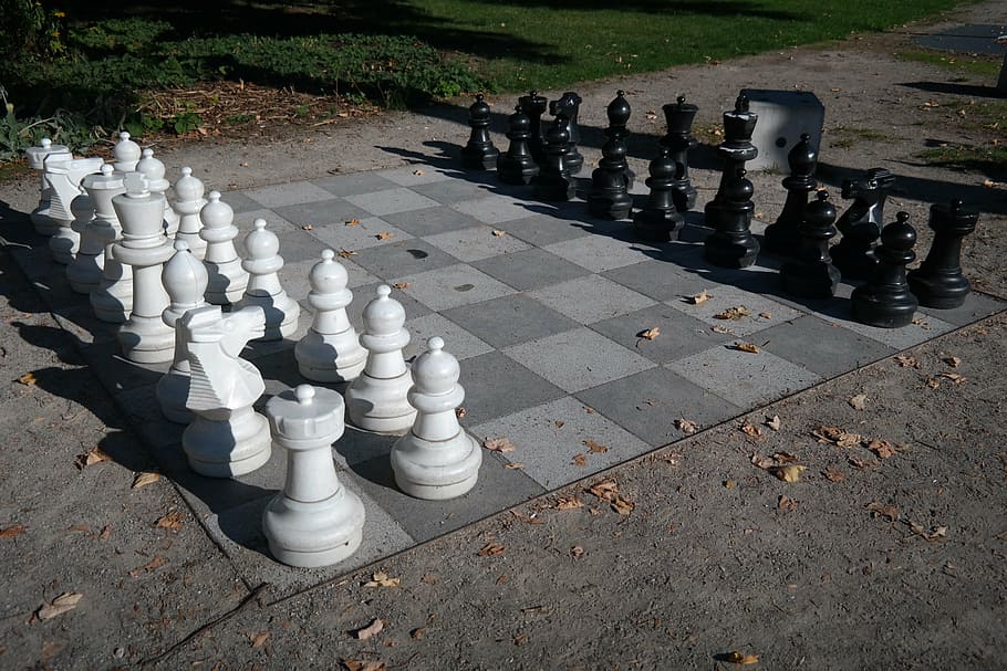 chess, chess pieces, black, white, chess game, play, figures, lady, king, runners
