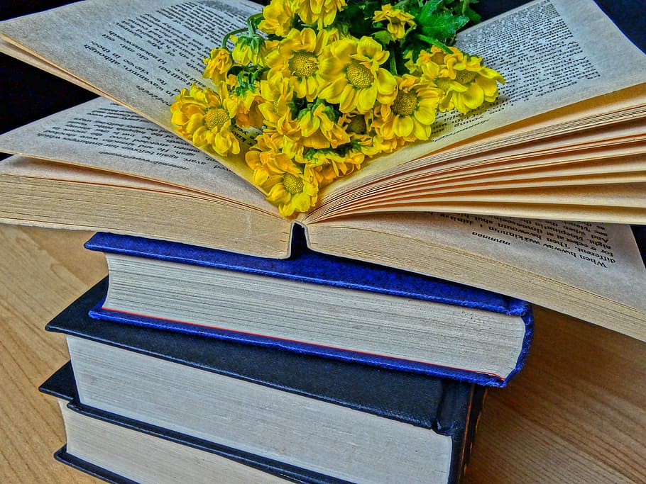 本, 読む, 小説, 文学, 本の虫, 物語, 余暇, 知識, 本を読む, 教育