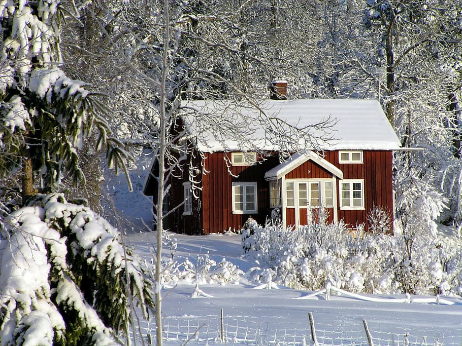 red, white, house, surrounded, snow, cottage, winter, red cottage, sweden, forest