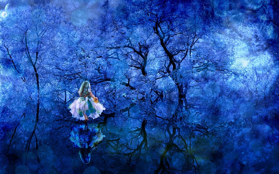 fairy, forest, magic, winter, trees, reflection, stars, mystical, fairytale, flower
