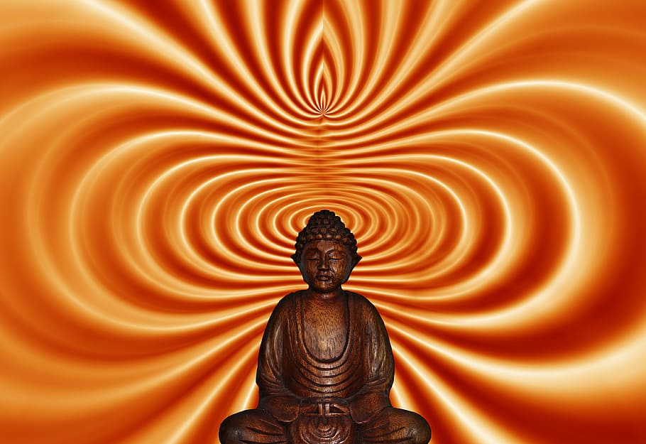 buda, estatuto de posición de loto, budismo, estatua, religión, asia, espiritual, meditación, creer, figura