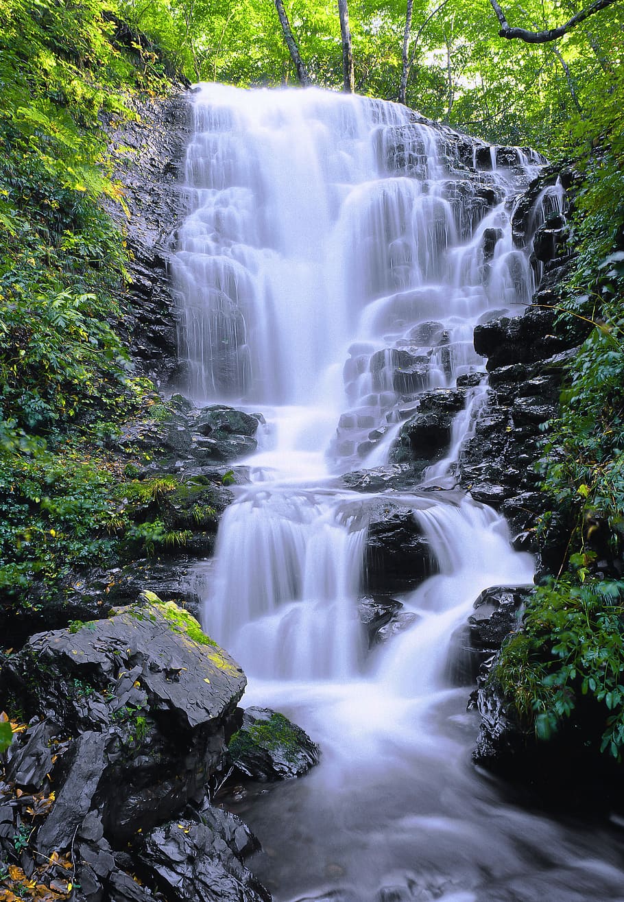 landscape, a small waterfall, shirakami-sanchi, world heritage region, japan, scenics - nature, water, waterfall, beauty in nature, long exposure