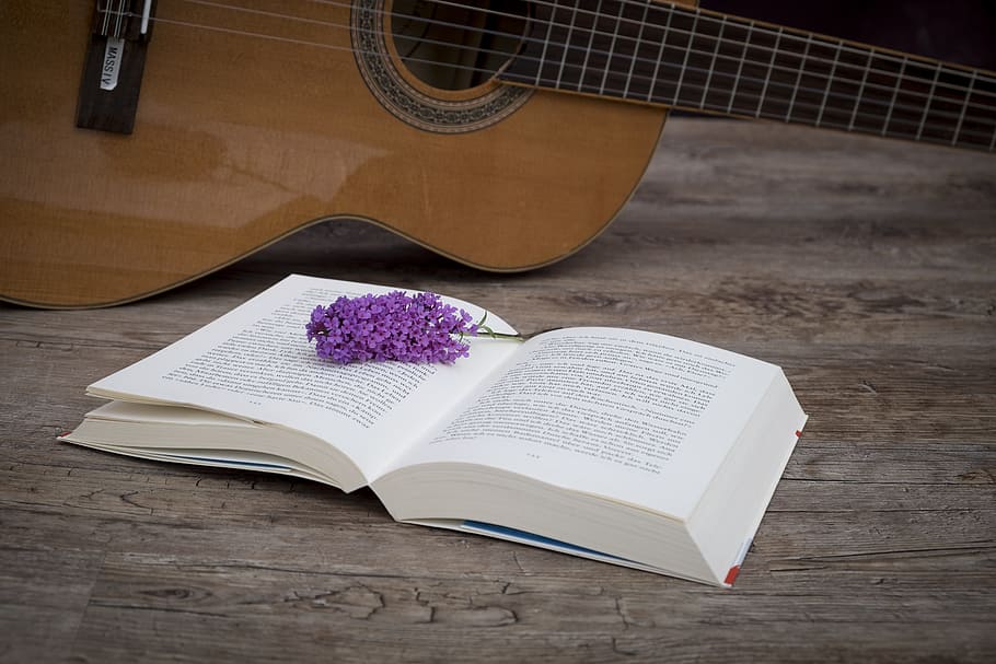 open, book page, brown, guitar, book, education, pages, read, literature, learn