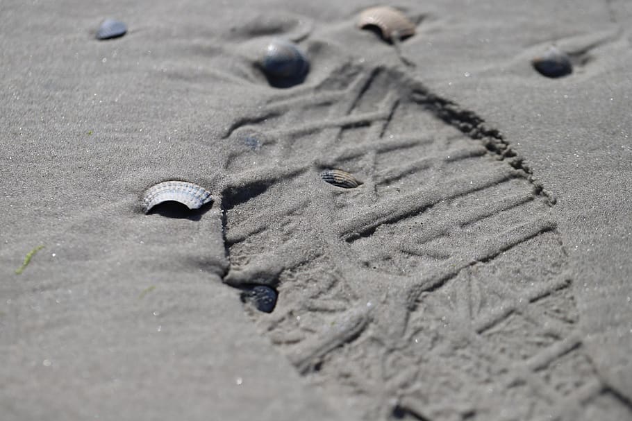 time, vanishing, sand, shells, track, imprint, the mark, summer, holidays, sea