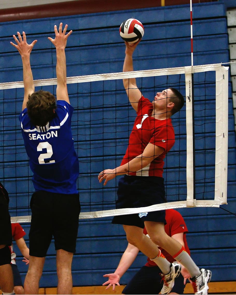 men playing volleyball, Volleyball, High School, Game, competition, team, athlete, teenage, match, ball