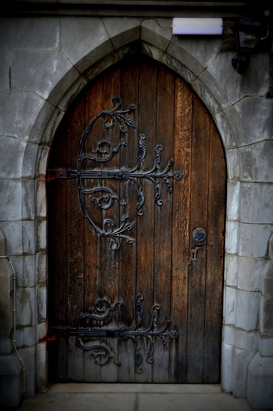 Портал s gate. Ворота с дверью. Дверь в воротах. Дверь калитка. Врата и двери.