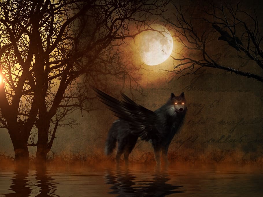 winged, wolf, calm, body, water, full, moon painting, trees, kahl, aesthetic