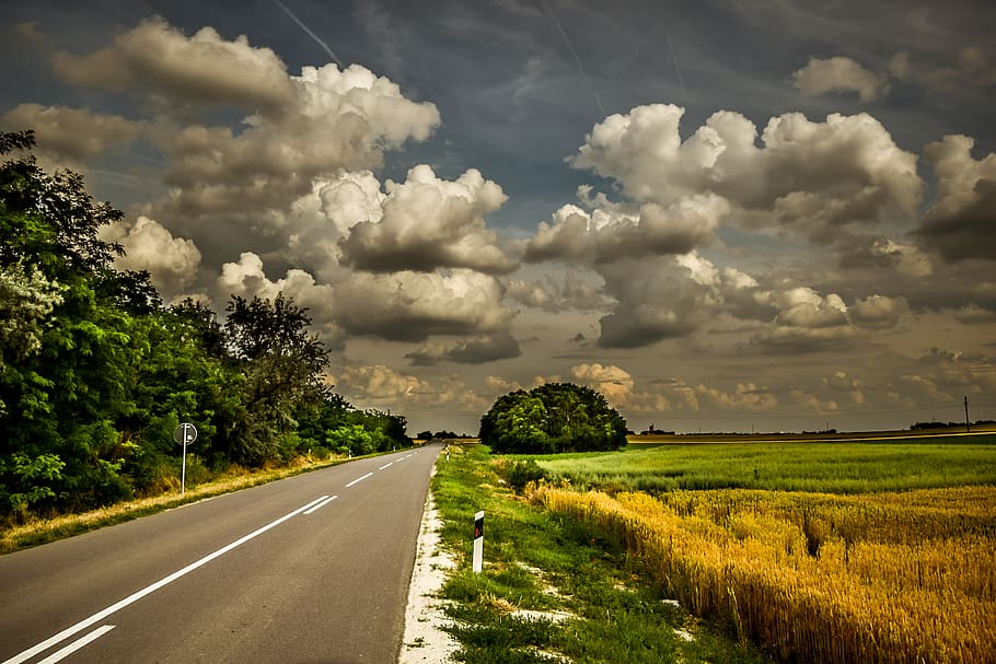 carretera, verde, hierba, agricultura, campo, granja, árbol, azul, cielo, nubes