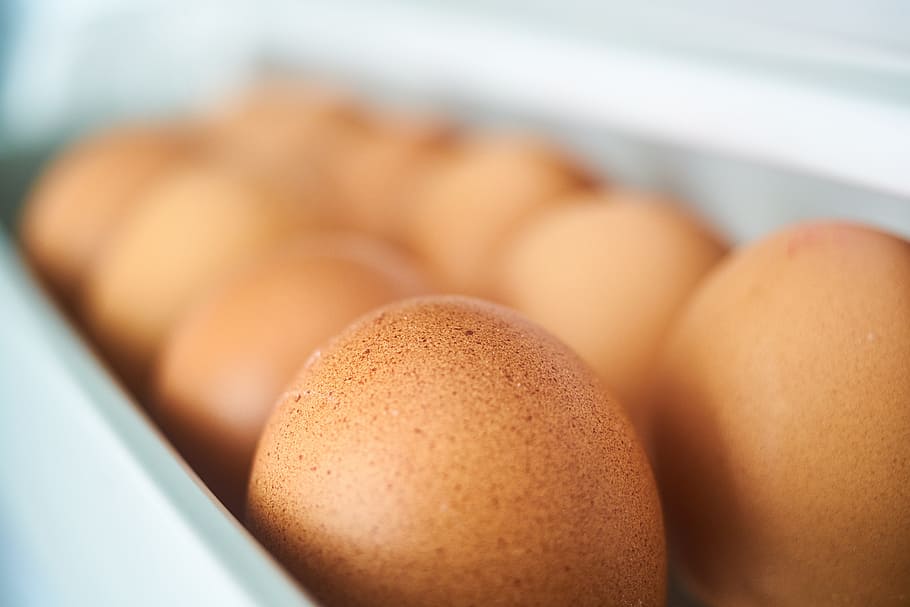 lote de huevos, huevo, pollo, armario, ovario, refrigerador, spawn, pollito, huevos, salud