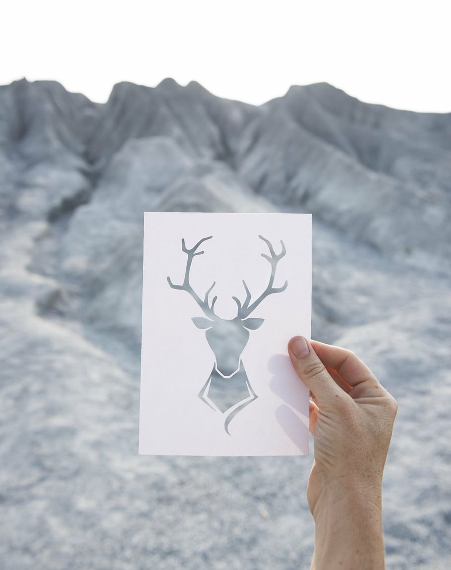 grey, deer illustration, white, printer paper, calm, mountain, dom, wildlife, rock, travel