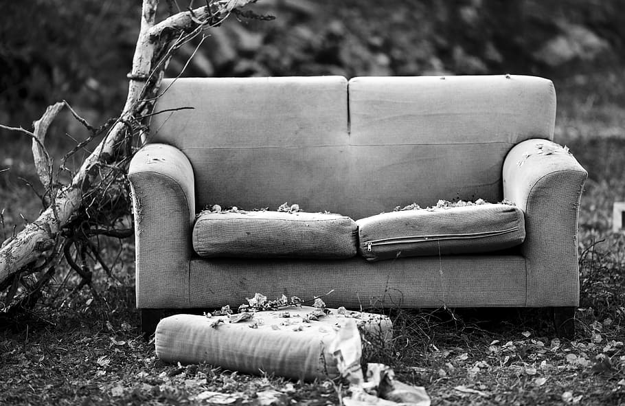 grayscale photography, fabric loveseat, tree branch, couch, black and white, loneliness, armchair, horror, cold, old