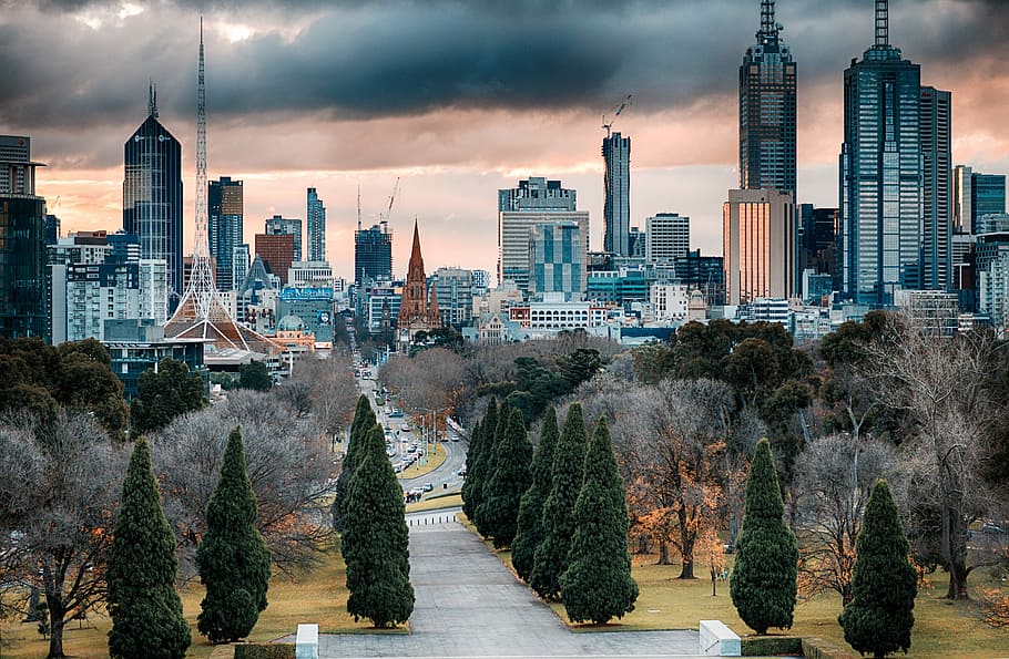 hdr городской пейзаж, HDR, Городской пейзаж, Скайлайн, Мельбурн, Австралия, общественное достояние, небоскребы, деревья, Виктория