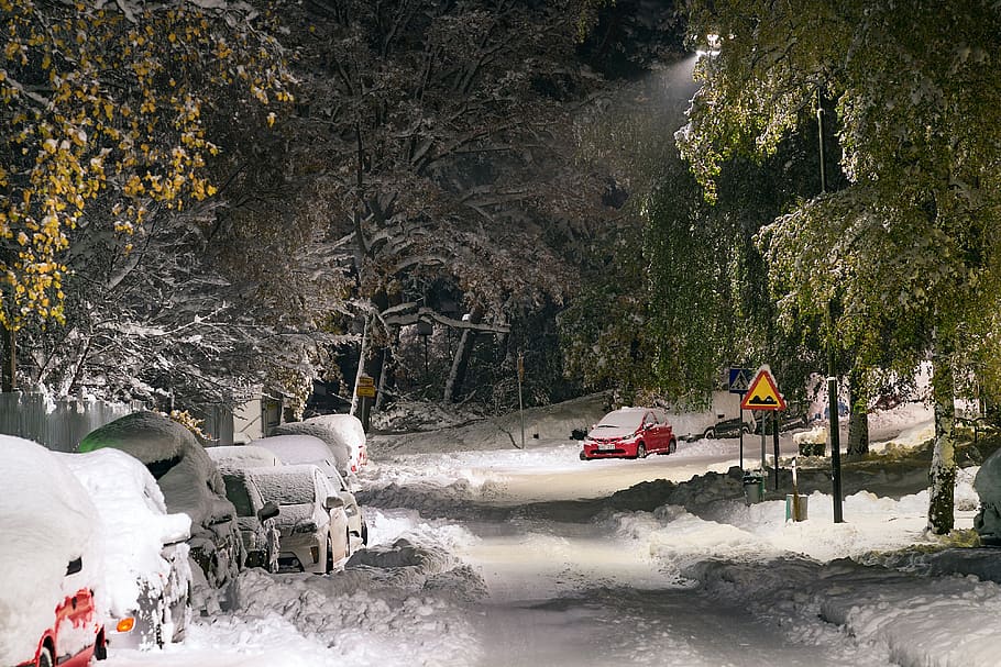 salju, jalan, mobil, tertutupi, dalam, musim dingin, dingin, berat, salju yg turun, musim