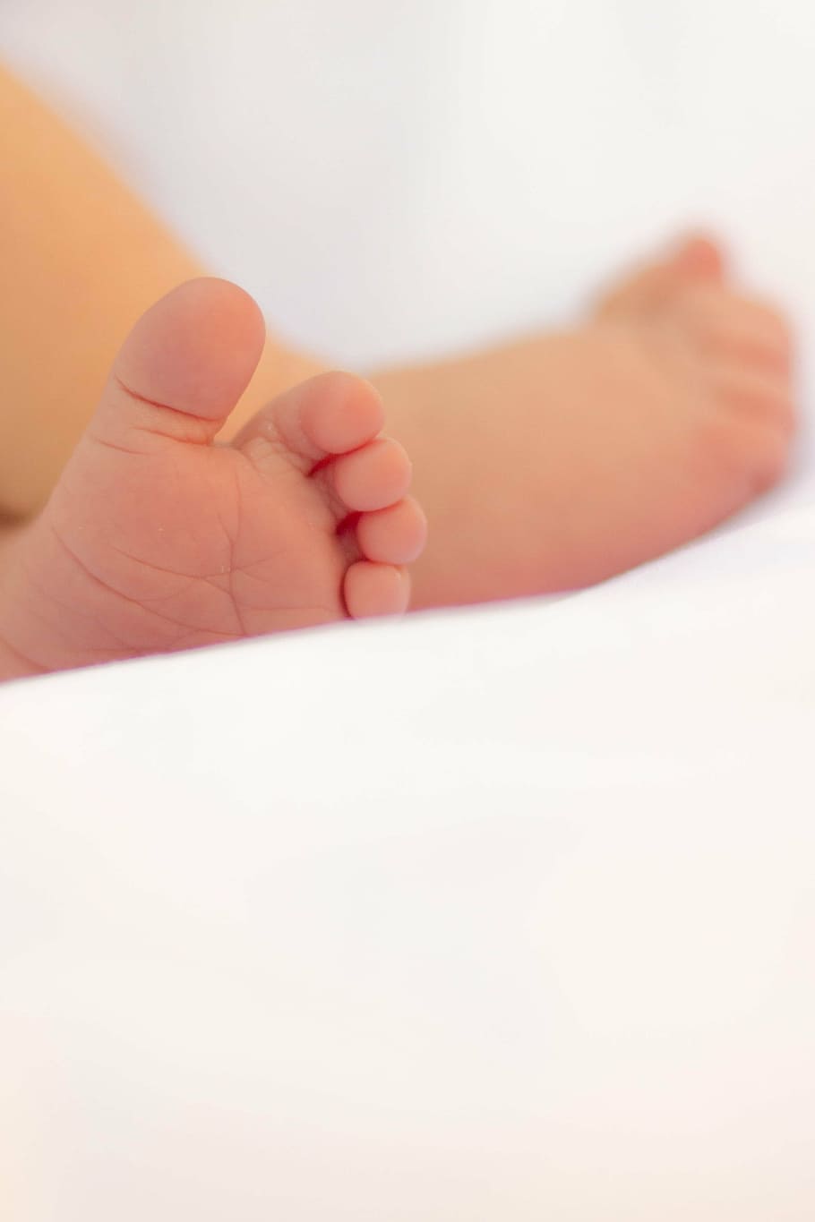 baby's feet, life, people, human, baby, child, toddler, feet, birth, human Hand