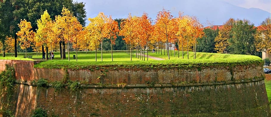 di atas, benteng, Musim Gugur, Lucca, Italia, foto, domain publik, pohon, alam, daun