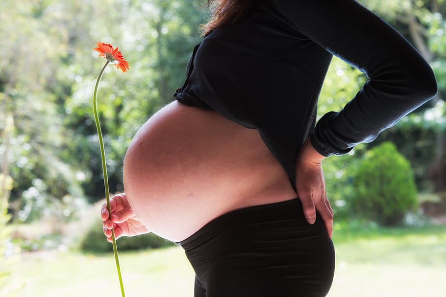 pregnant, woman, wearing, black, long-sleeved, shirt, holding, orange, gerbera daisy, pregnant woman