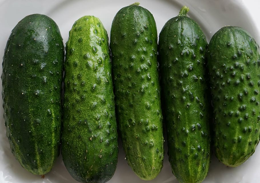 cucumbers, vegetables, food, green, kitchen, ensiling cucumbers, preparations, mizeria, eating, fresh