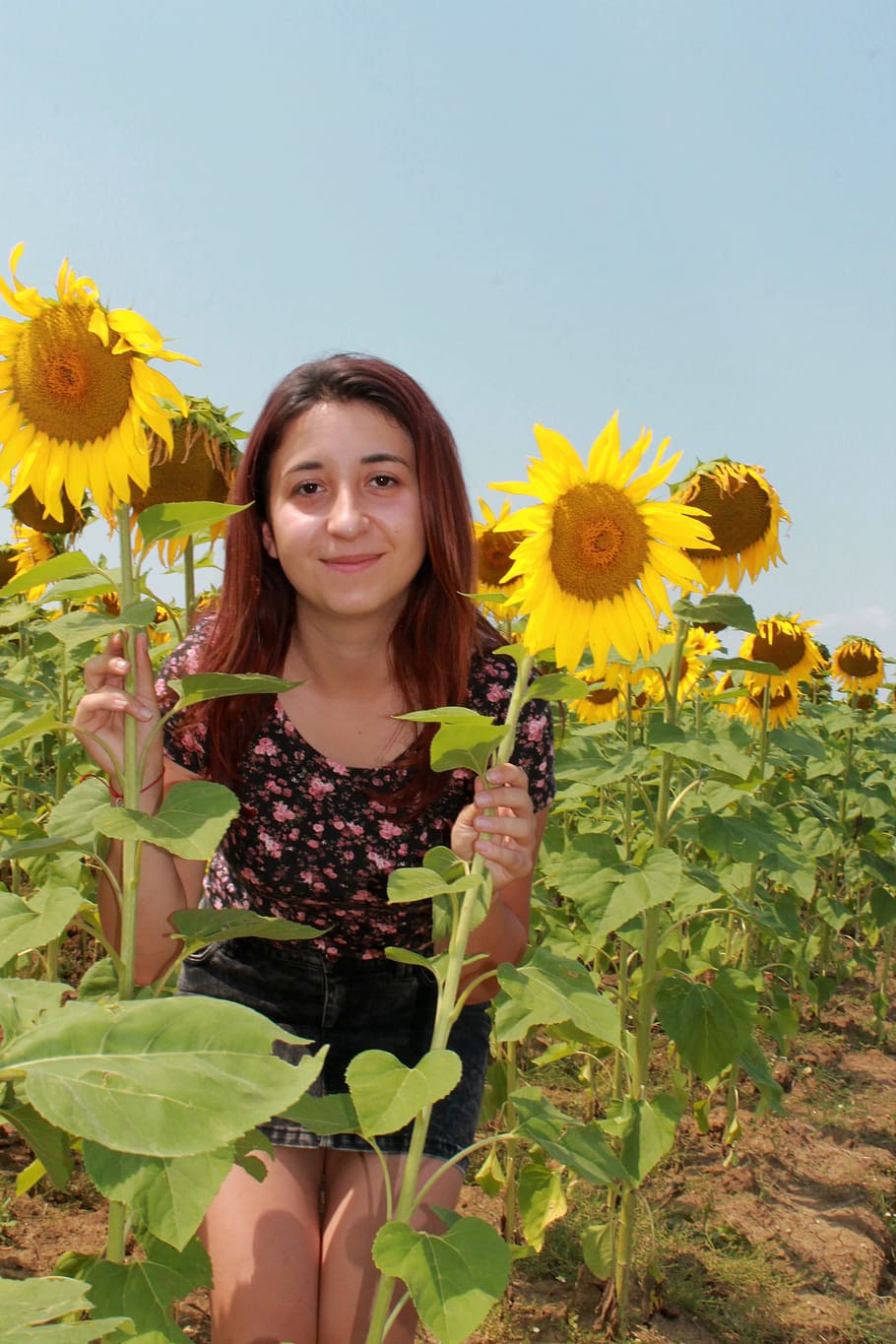 girl, yellow, sunflower, green, mood, sunny, summer, flower, flowering plant, looking at camera